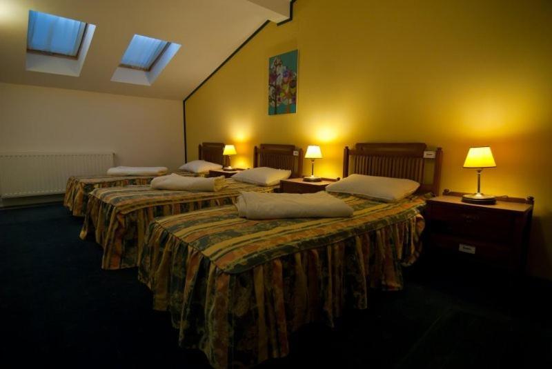 Hotel Astra Braşov Eksteriør billede